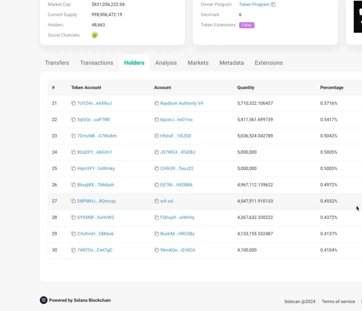 Solscan holders list showing top whale wallets for a token