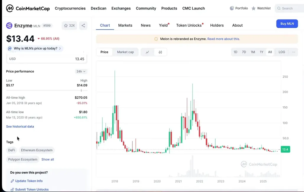 Enzyme Finance description and mention of Polygon ecosystem