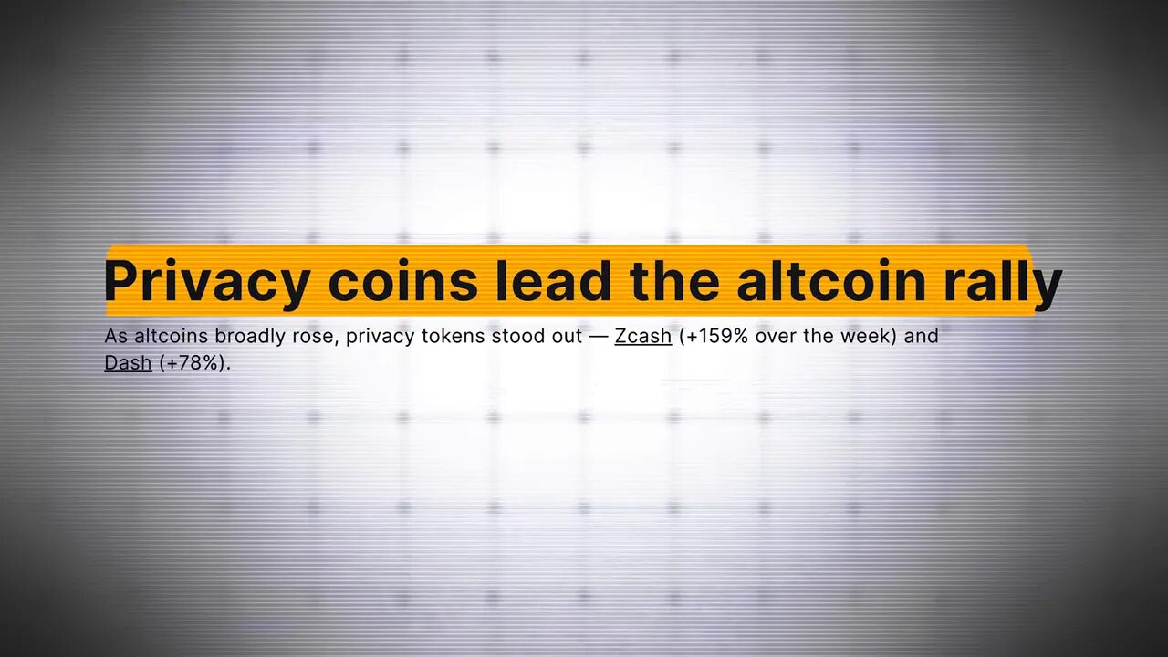 Opening shot showing privacy coins theme