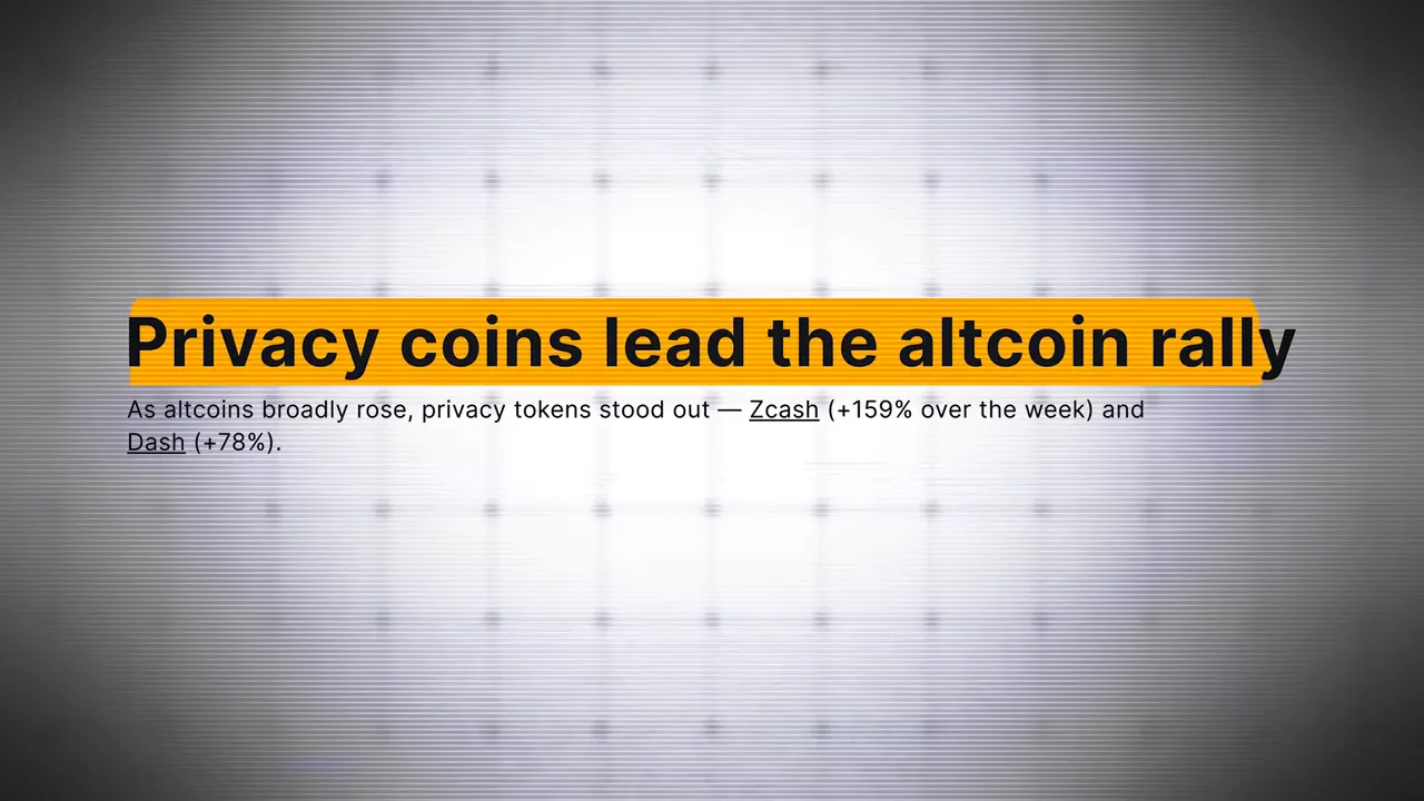 Opening shot showing privacy coins theme