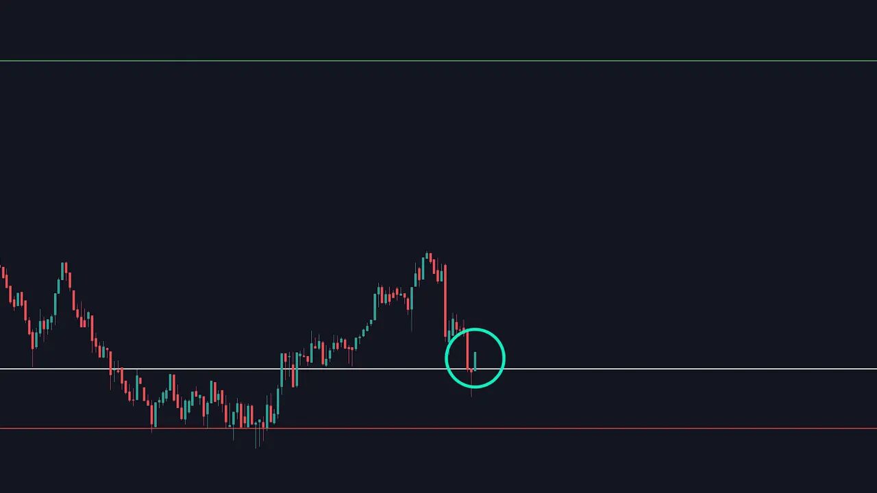 candlestick chart showing a pullback and bounce at a horizontal support line circled in teal