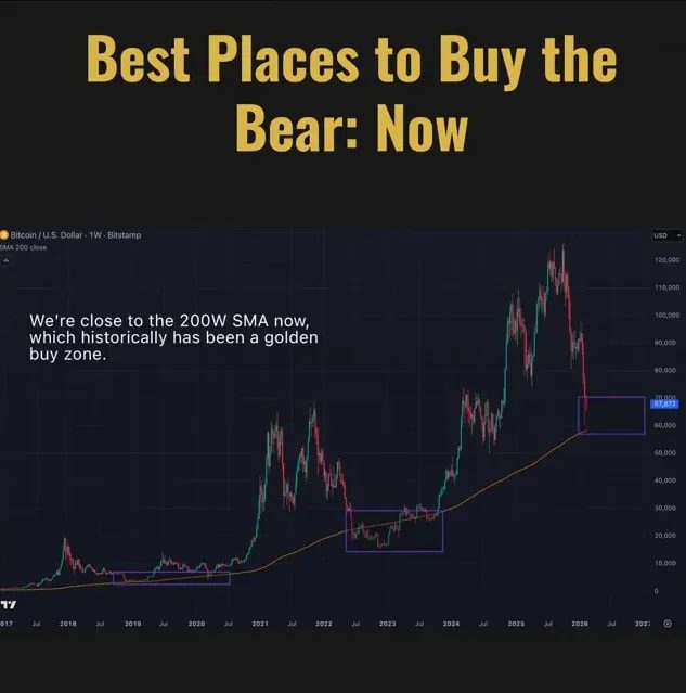 Presenter beside a clear Bitcoin weekly price chart highlighting the 200-week moving average and a buy-zone box; slide titled 'Best Places to Buy the Bear: Now'.
