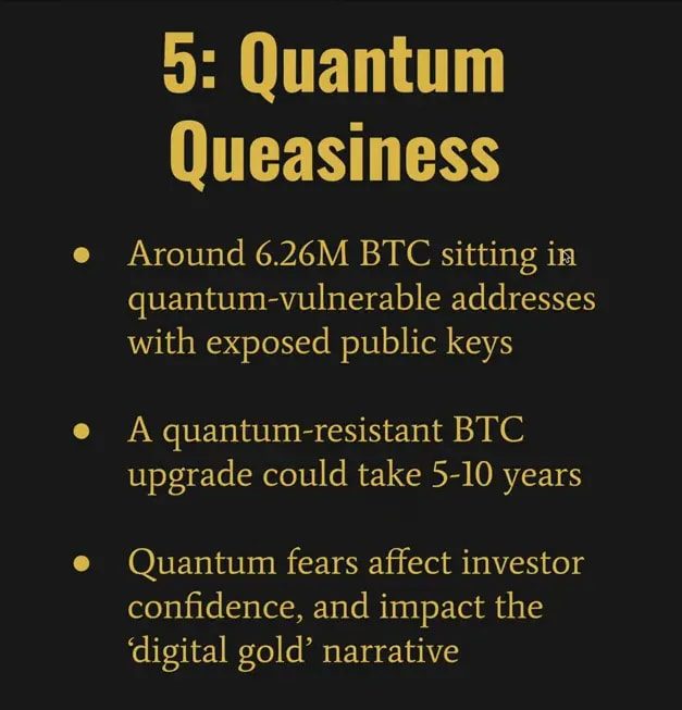 Slide titled '5: Quantum Queasiness' with bullets about ~6.26M BTC in quantum-vulnerable addresses, a 5–10 year quantum-resistant upgrade estimate, and investor confidence impacts; presenter slightly visible at left but slide text is prominent and legible.
